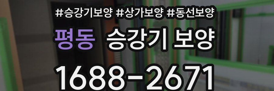 평동 승강기 보양