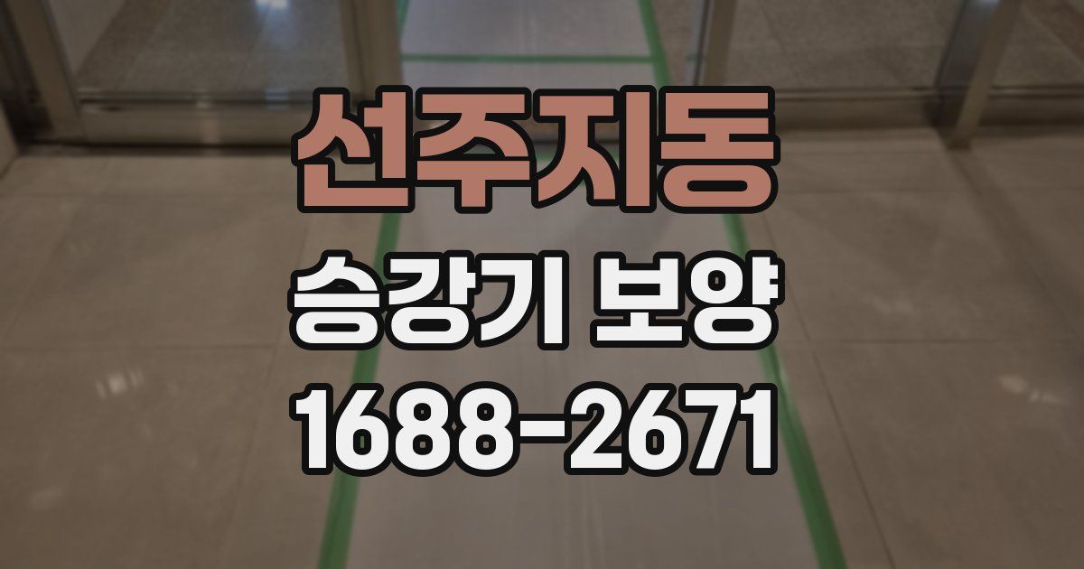선주지동 승강기 보양