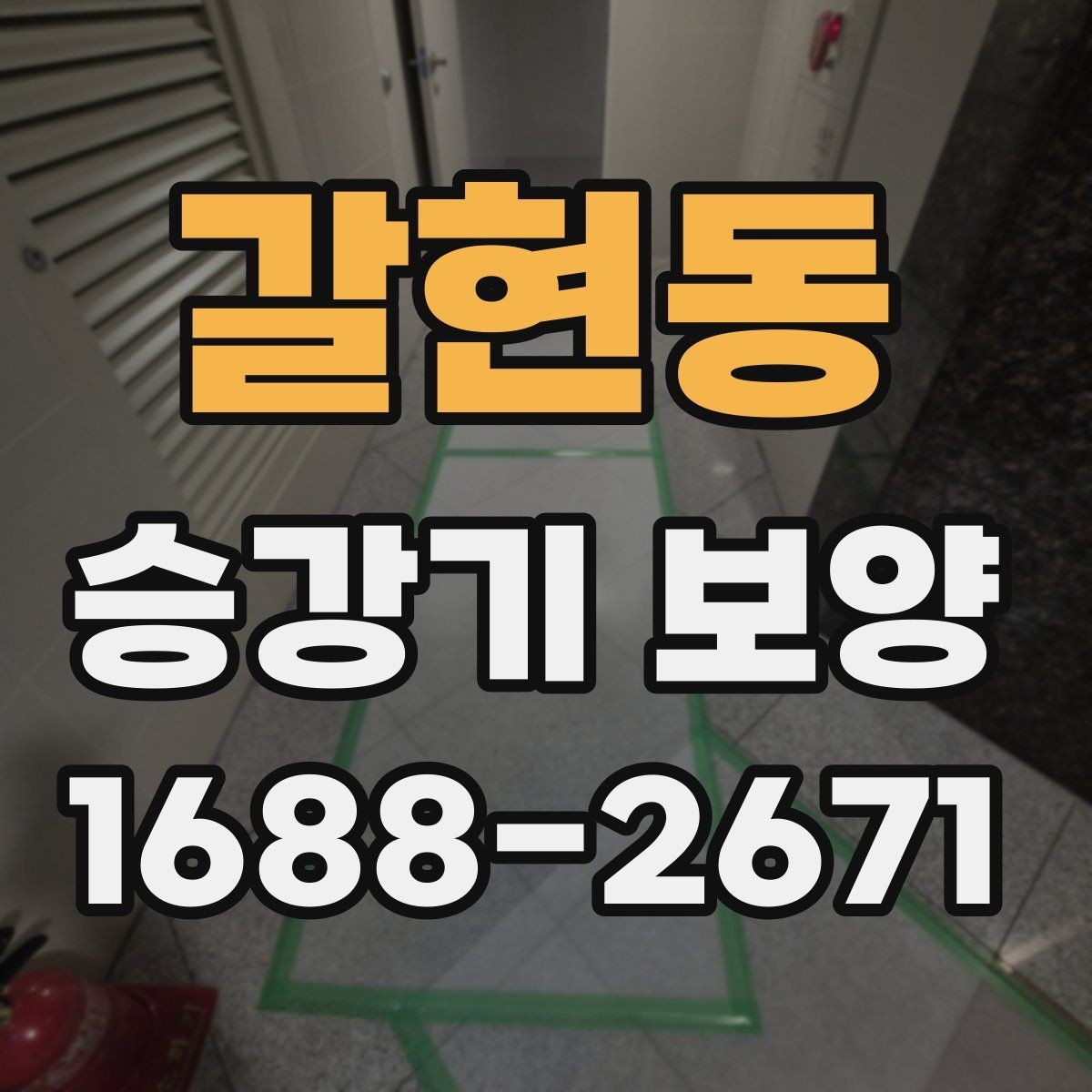 갈현동 승강기 보양 적용 범위를 나누는 방법