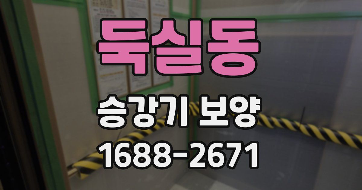 둑실동 승강기 보양