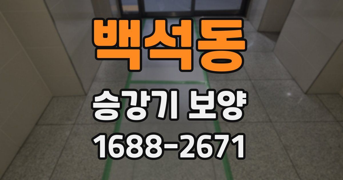 백석동 승강기 보양
