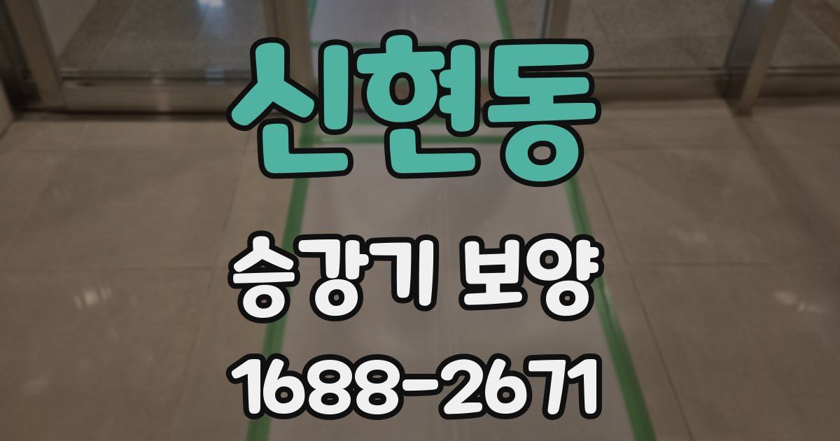 신현동 승강기 보양