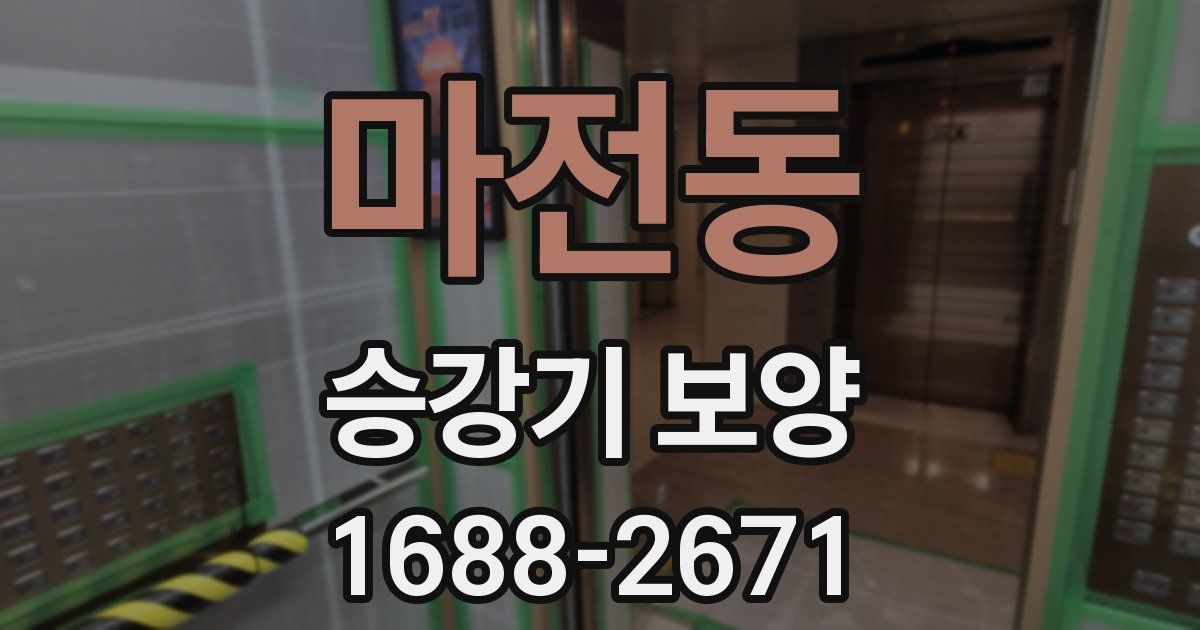마전동 승강기 보양