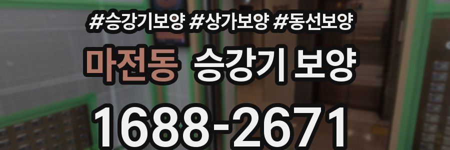 마전동 승강기 보양