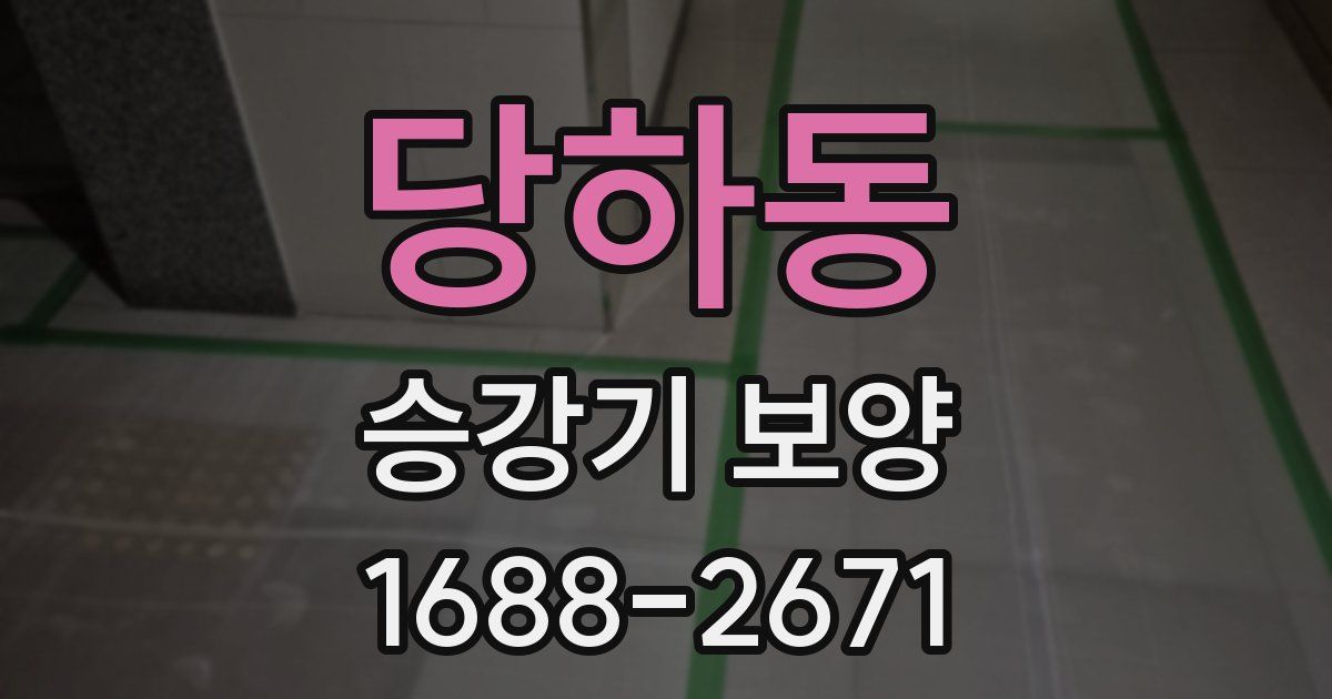 당하동 승강기 보양