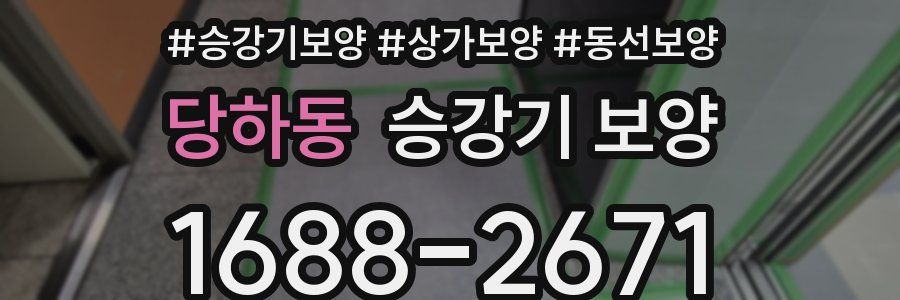 당하동 승강기 보양