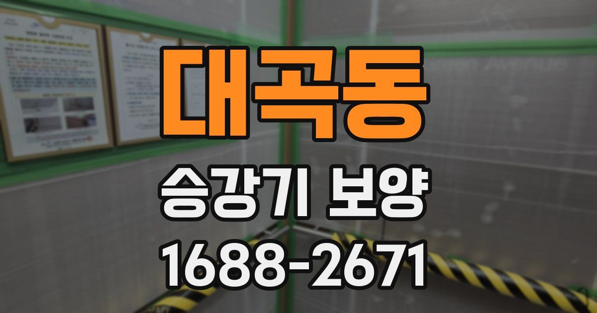 대곡동 승강기 보양