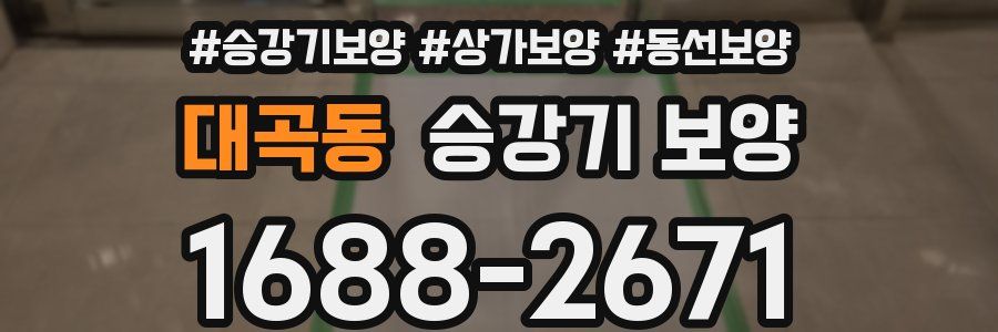 대곡동 승강기 보양