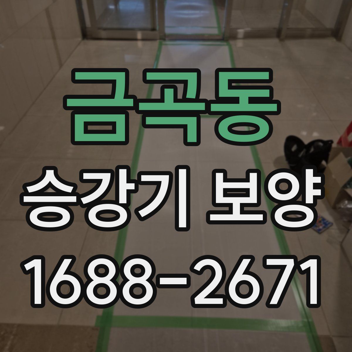 금곡동 승강기 보양