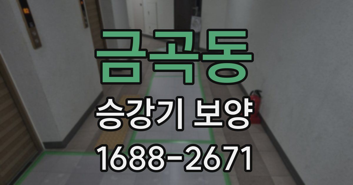 금곡동 승강기 보양