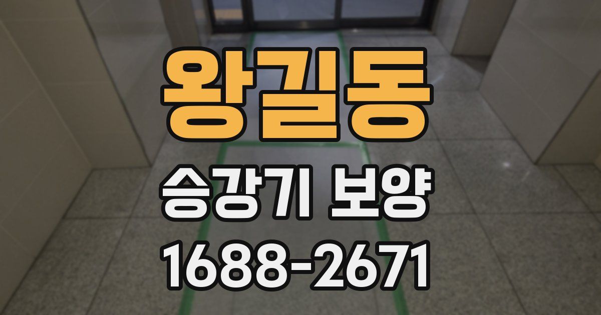 왕길동 승강기 보양
