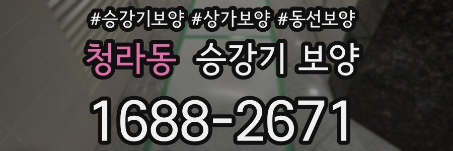 청라동 승강기 보양