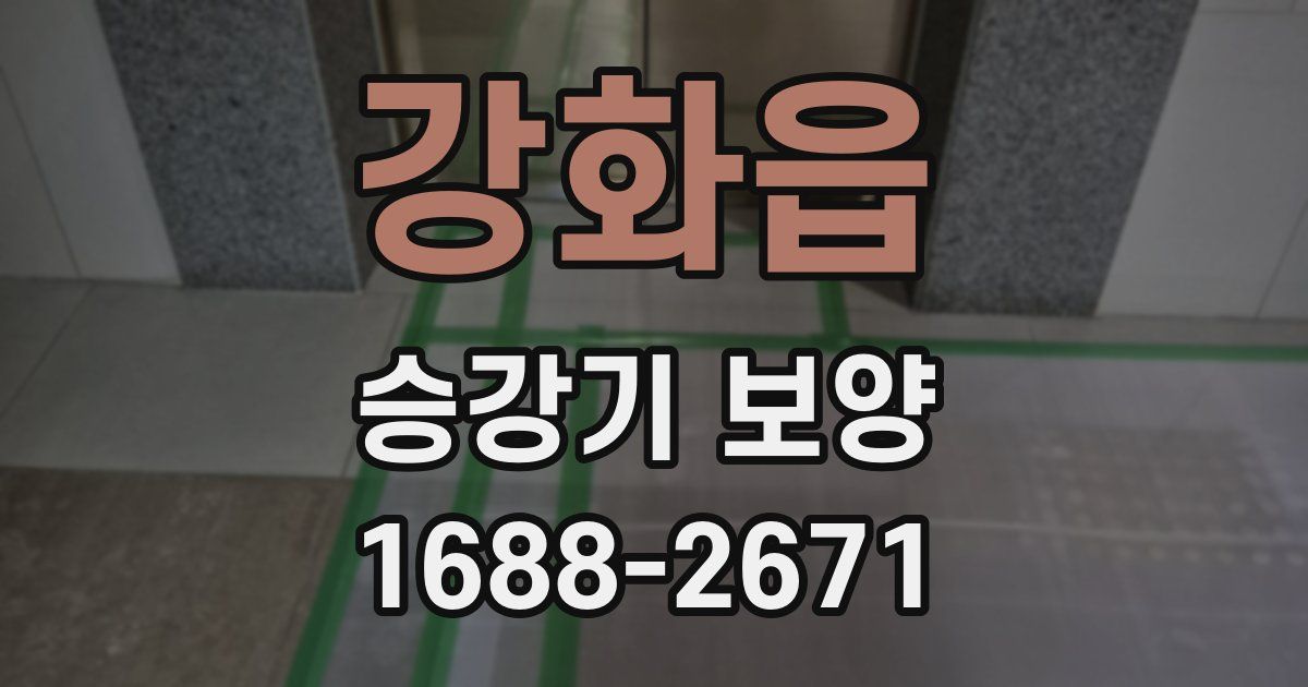 강화읍 승강기 보양