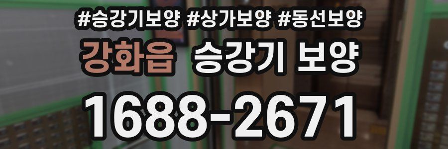 강화읍 승강기 보양