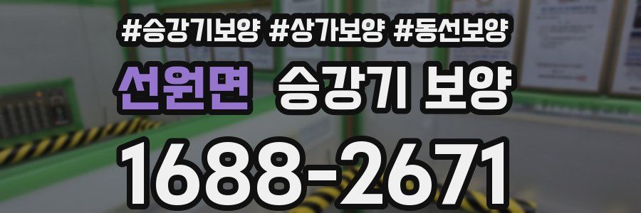 선원면 승강기 보양