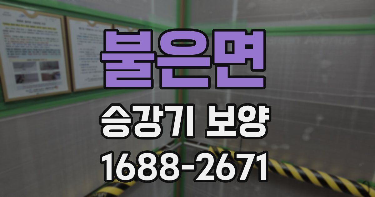 불은면 승강기 보양
