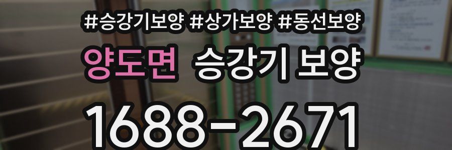 양도면 승강기 보양