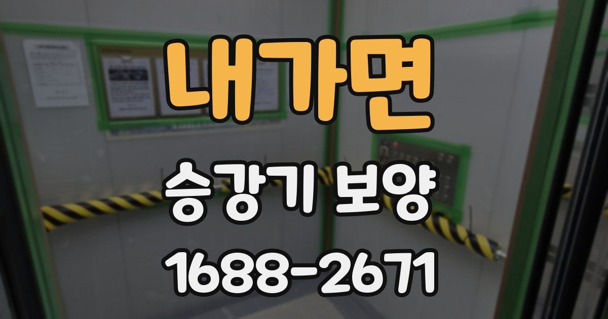 내가면 승강기 보양