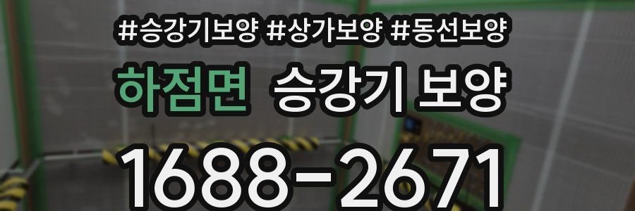 하점면 승강기 보양