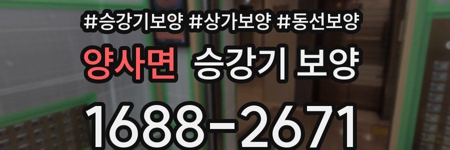 양사면 승강기 보양