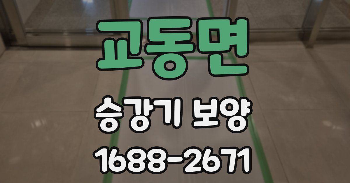 교동면 승강기 보양
