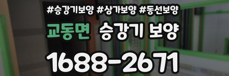 교동면 승강기 보양