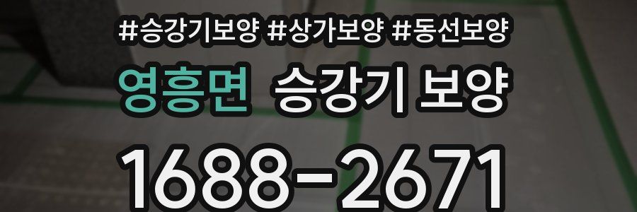 영흥면 승강기 보양