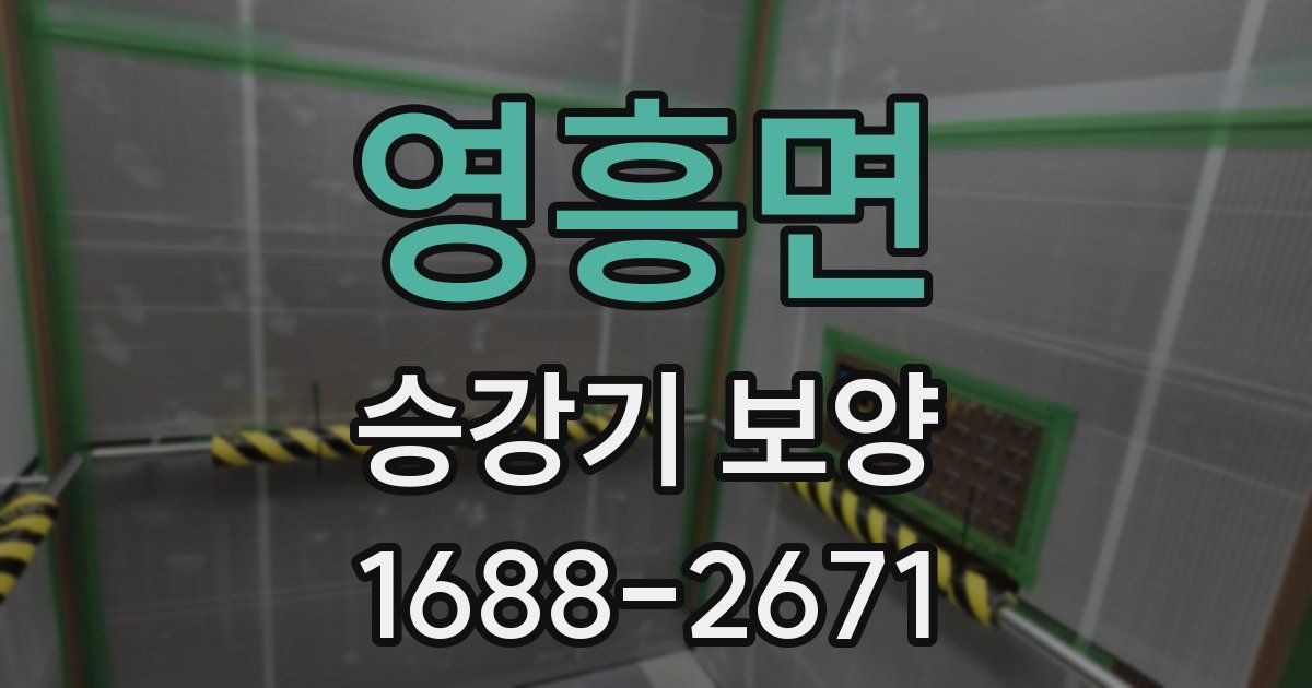 영흥면 승강기 보양