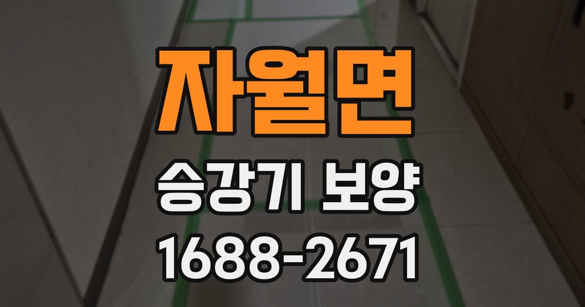 자월면 승강기 보양