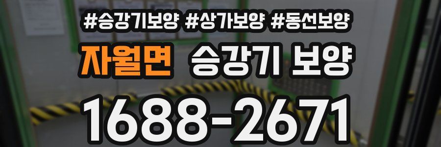 자월면 승강기 보양