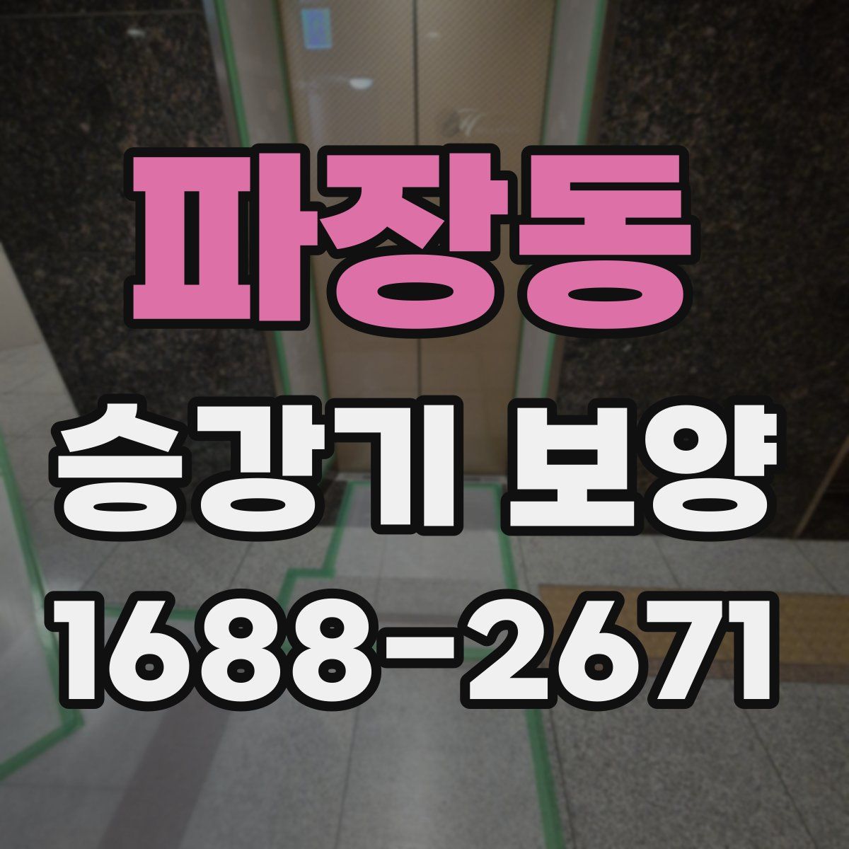 파장동 승강기 보양