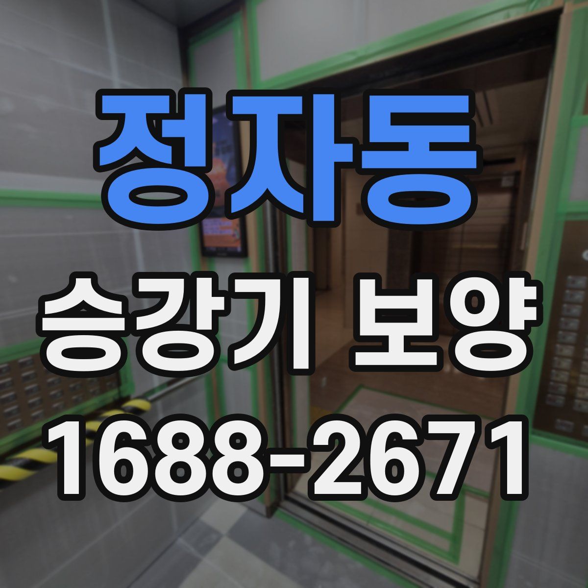 정자동 승강기 보양