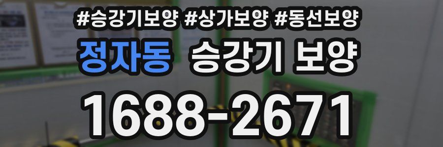 정자동 승강기 보양