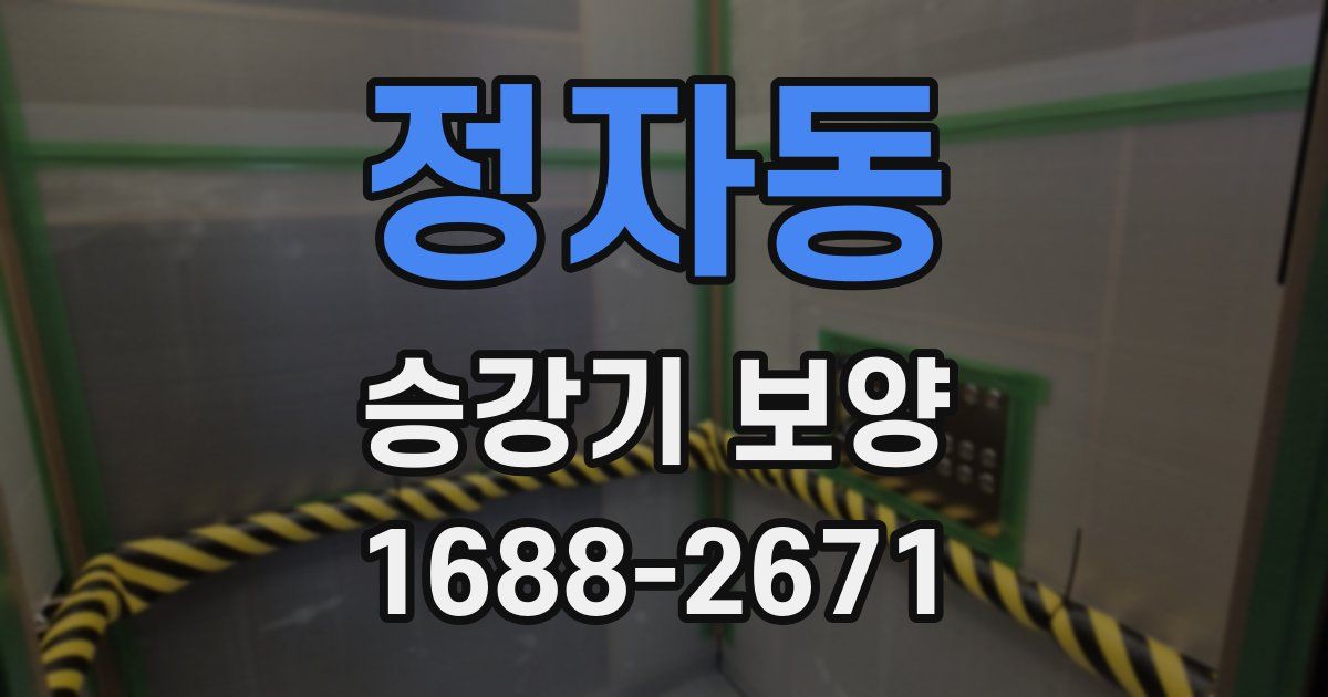 정자동 승강기 보양