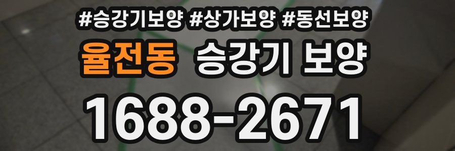 율전동 승강기 보양