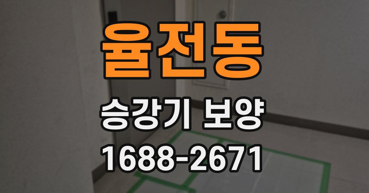 율전동 승강기 보양