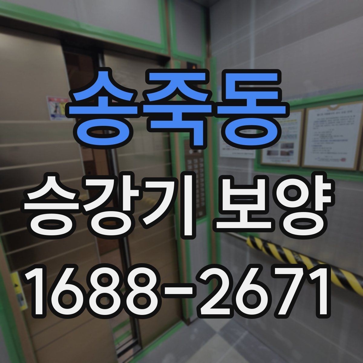 송죽동 승강기 보양 시 보호 범위를 정하는 기준