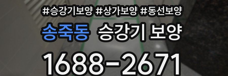 송죽동 승강기 보양