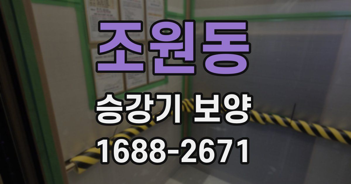 조원동 승강기 보양
