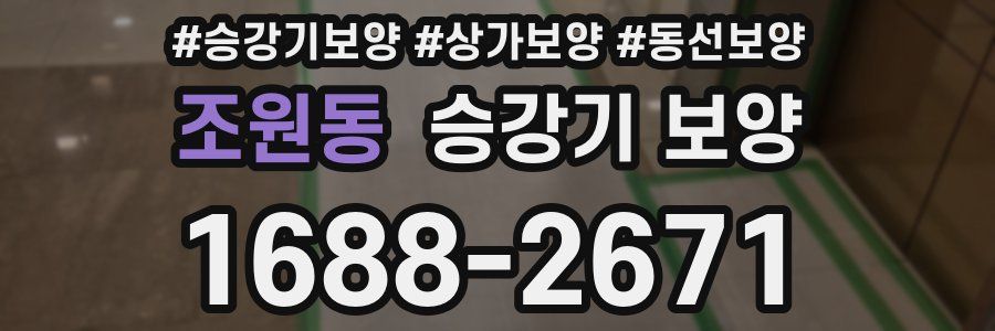 조원동 승강기 보양