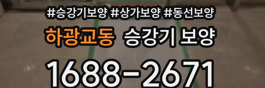하광교동 승강기 보양