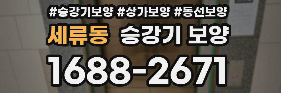 세류동 승강기 보양
