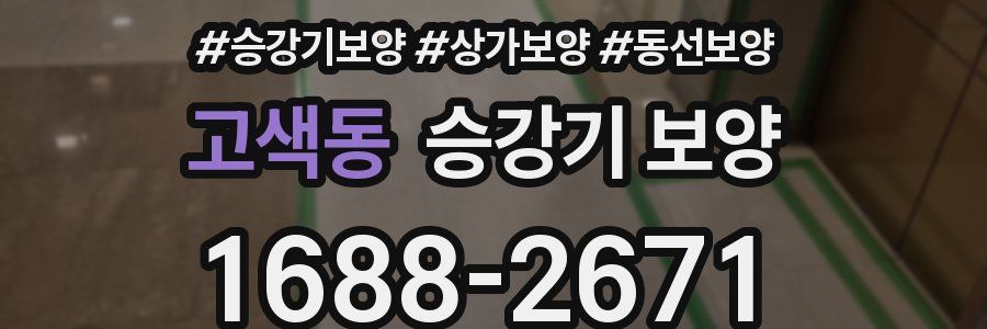 고색동 승강기 보양