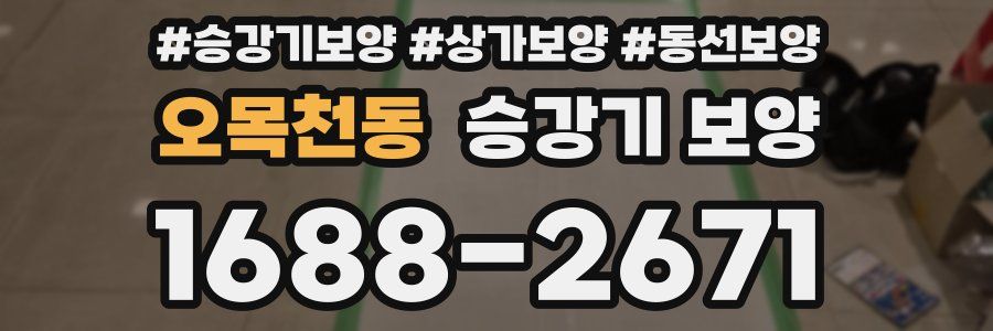 오목천동 승강기 보양