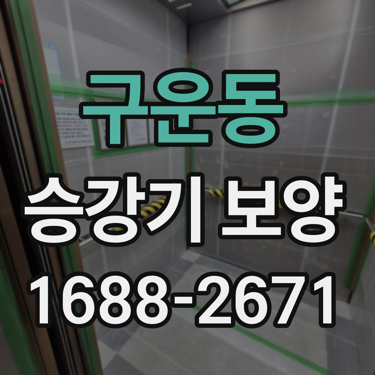 구운동 승강기 보양