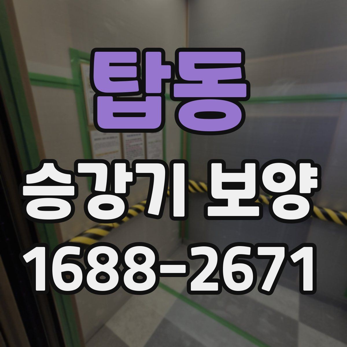 탑동 승강기 보양 공사에서 비용과 품질의 균형