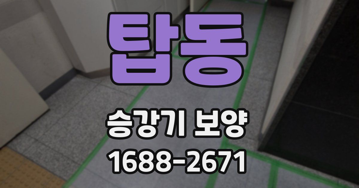 탑동 승강기 보양