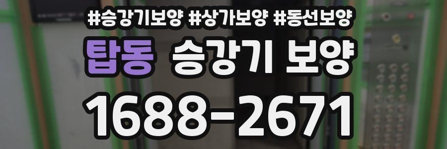 탑동 승강기 보양
