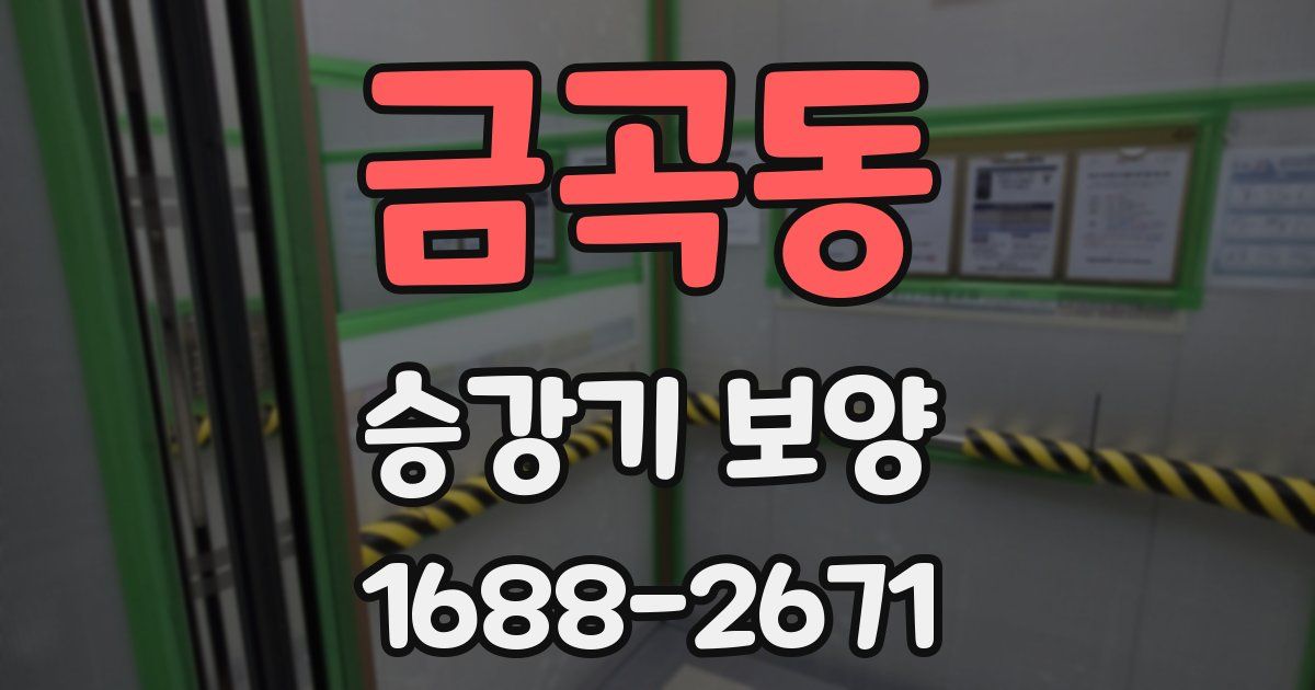금곡동 승강기 보양