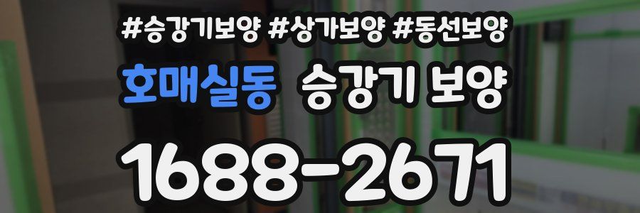 호매실동 승강기 보양
